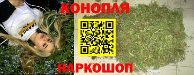 мяу мяу мука Гулькевичи