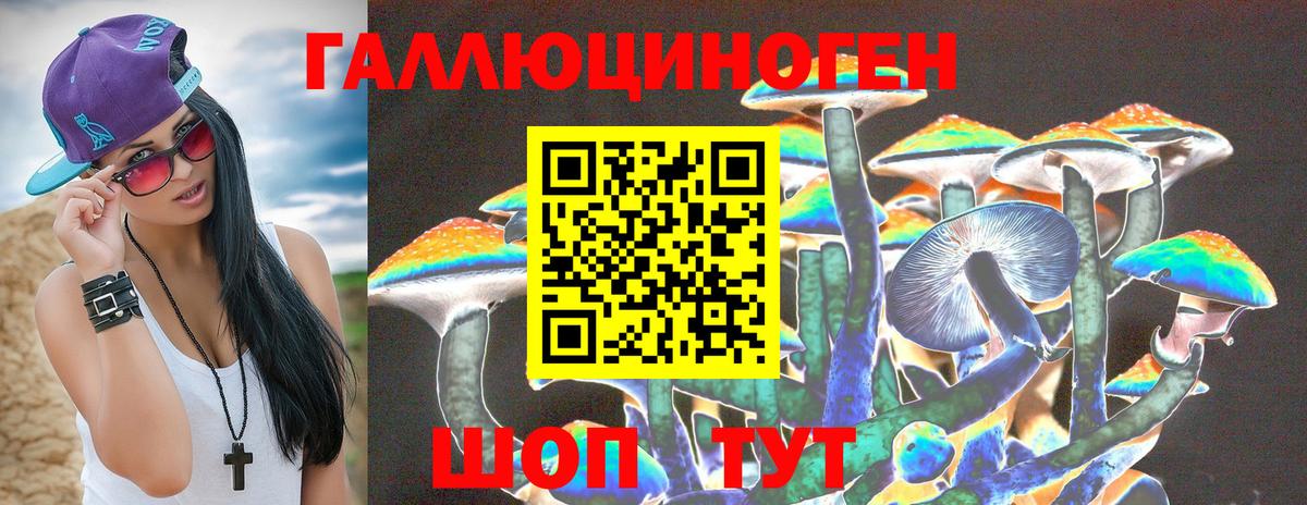 Псилоцибиновые грибы Psilocybine cubensis Гай