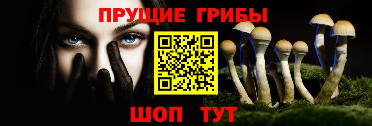 Псилоцибиновые грибы GOLDEN TEACHER  Вход с VPN  Гай 